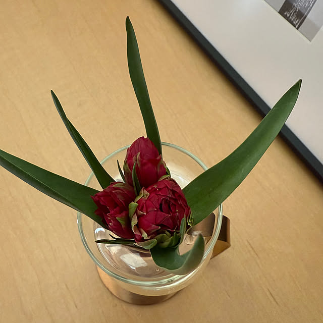 natsuさんの部屋