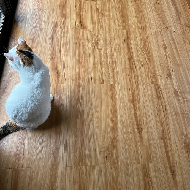 Maririnさんの実例写真