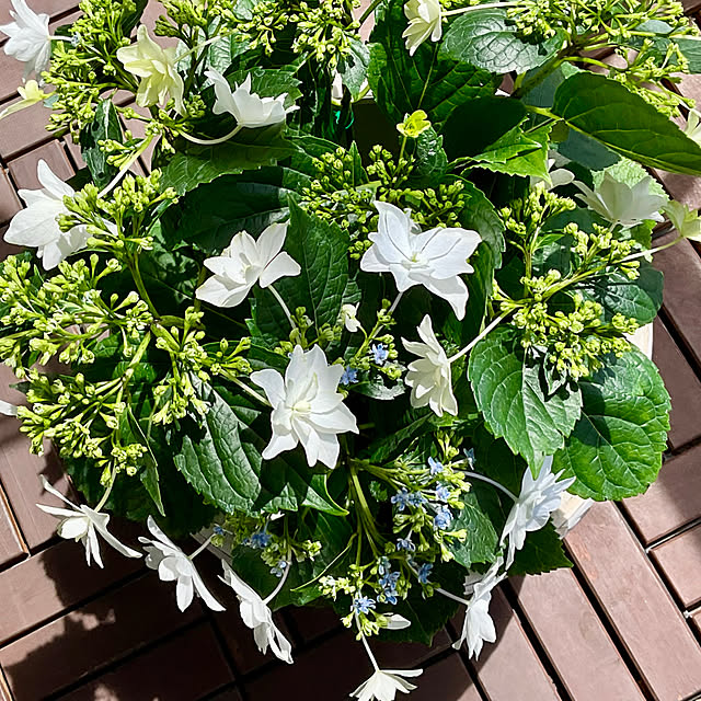 2.11maririnさんの部屋