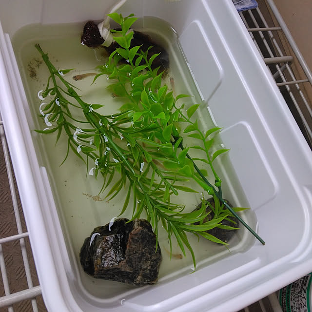 tomo3さんの実例写真