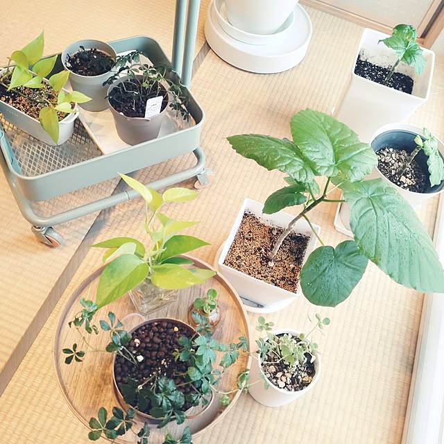 tan5さんの部屋