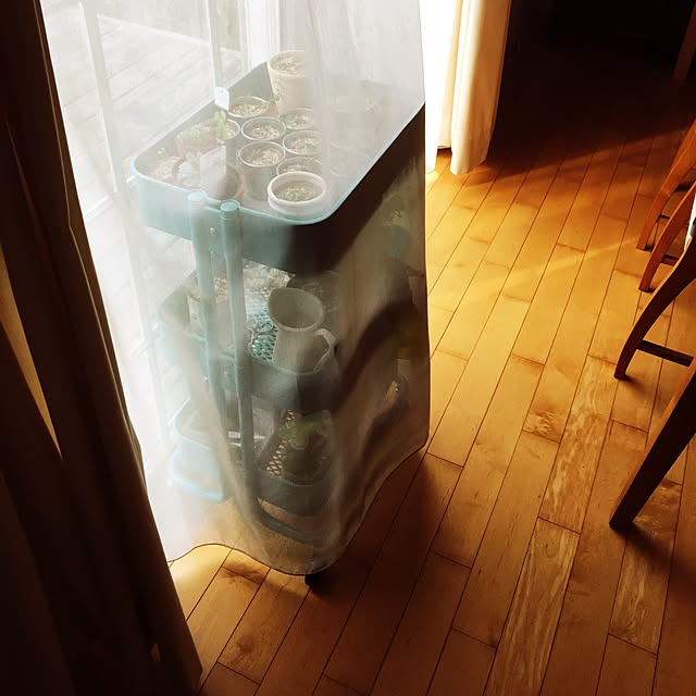 Miyuさんの実例写真