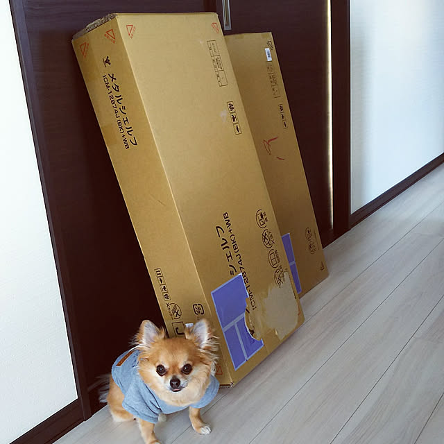 kojikojiさんの実例写真