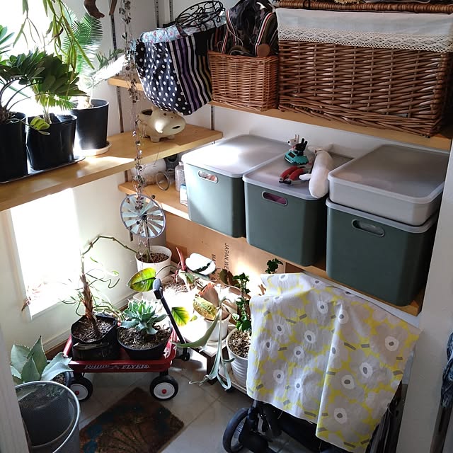 chocococoaさんの部屋
