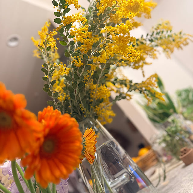 kokedamaさんの部屋