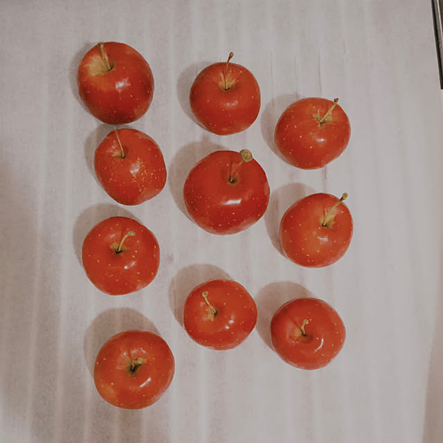 castellan1123さんの実例写真