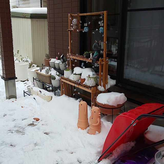 yumiyumiさんの部屋