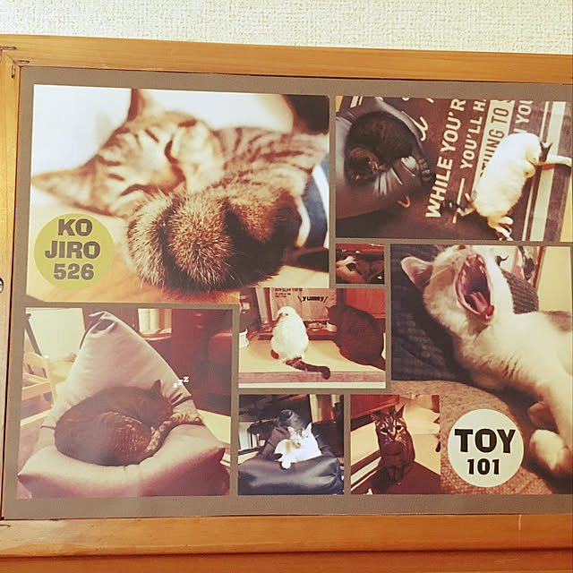 Miechamさんの実例写真