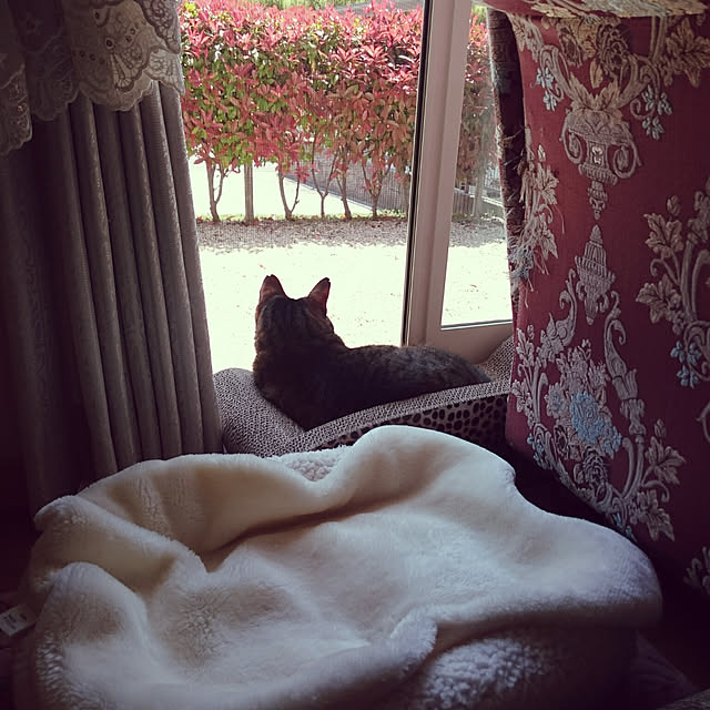lilyさんの実例写真