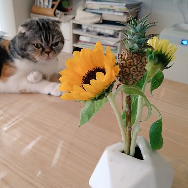 takiko0407さんの実例写真