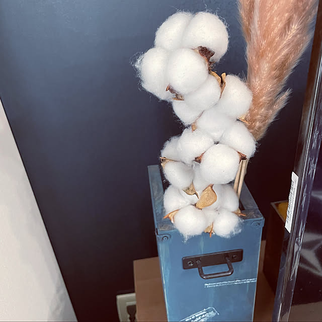 tomoさんの実例写真