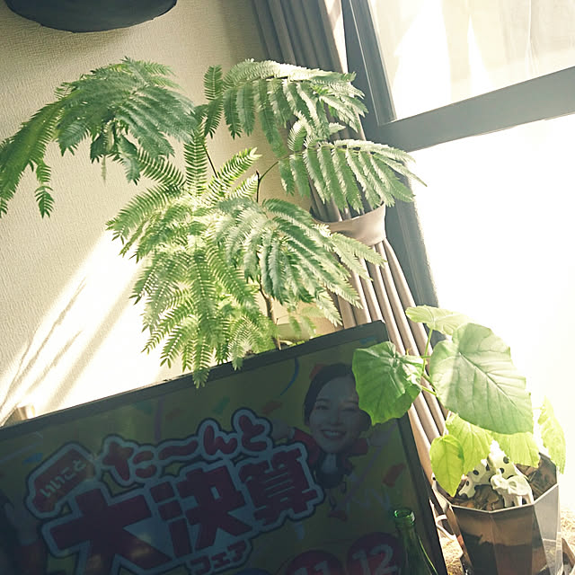 s.p.sunaoさんの実例写真