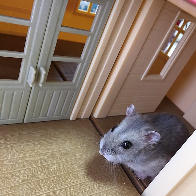 nari0skさんの実例写真