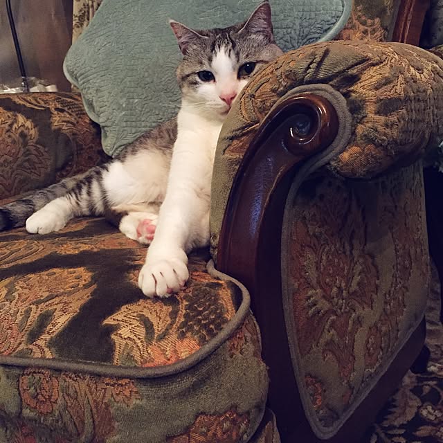 emmyyさんの実例写真