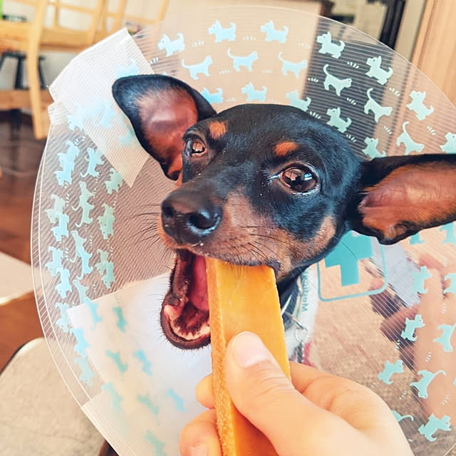 shizuponさんの実例写真