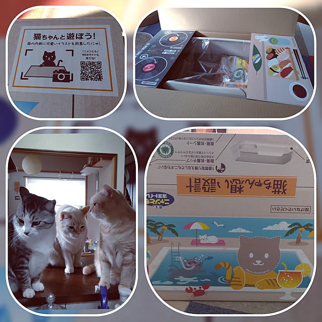 mntcさんの実例写真