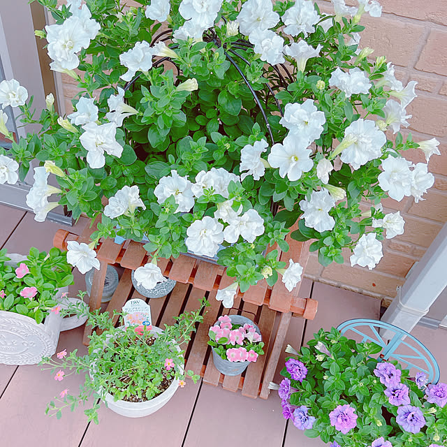 moolさんの部屋