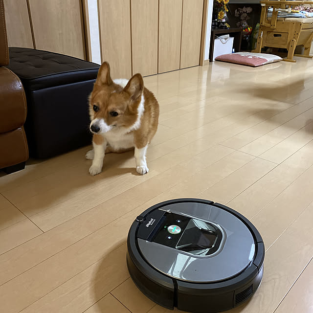 Majoricaさんの実例写真