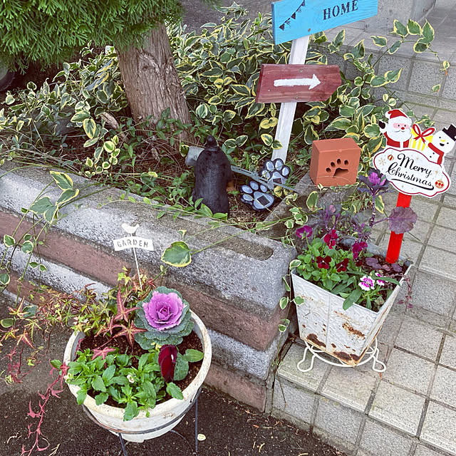 CoCo0617さんの部屋