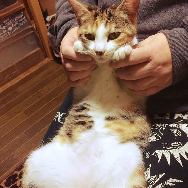vivienne.coco-keiさんの実例写真