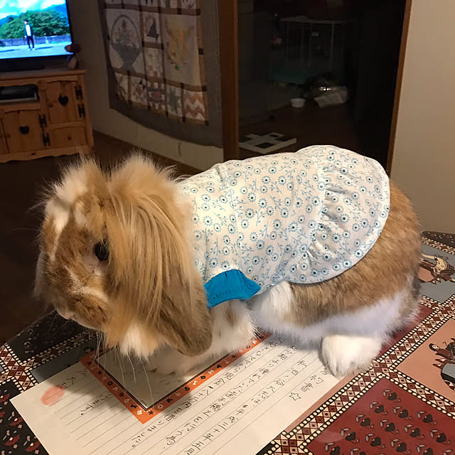 megumi_さんの実例写真