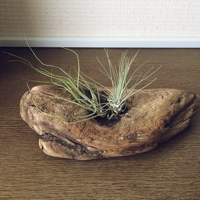 pingub_dさんの実例写真