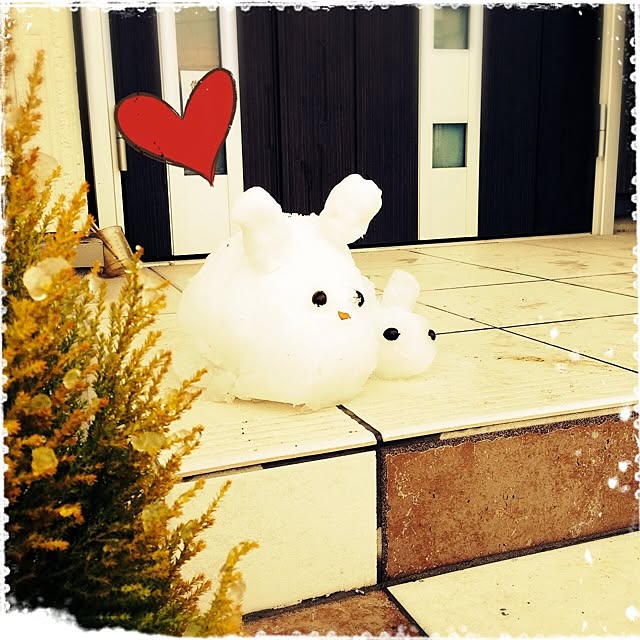 merryさんの実例写真