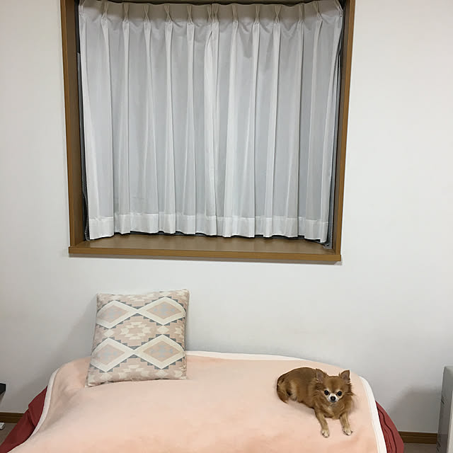 koroさんの実例写真