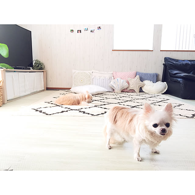 ayakaさんの実例写真