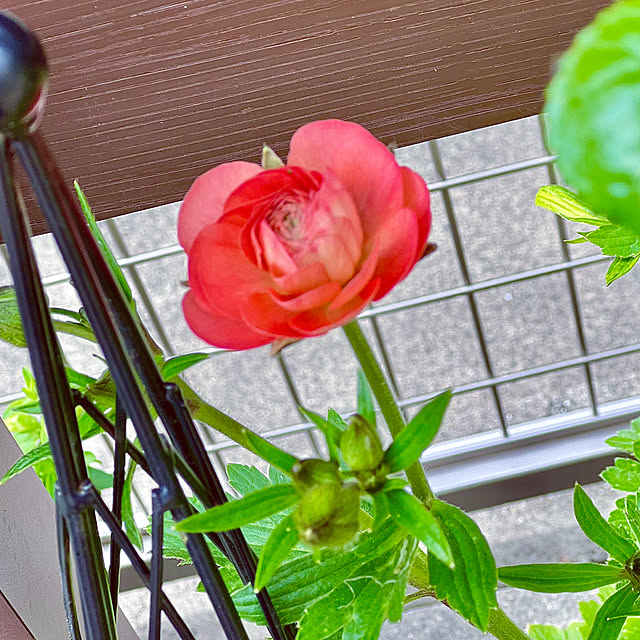 hinamamaさんの部屋