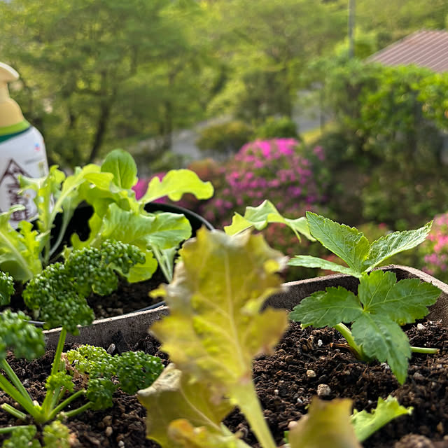 syutmmさんの部屋