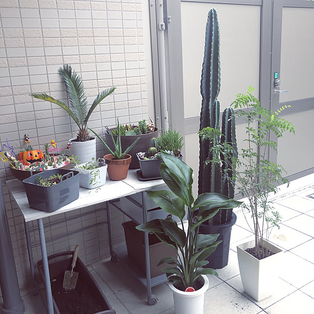 Hamu_sanさんの実例写真