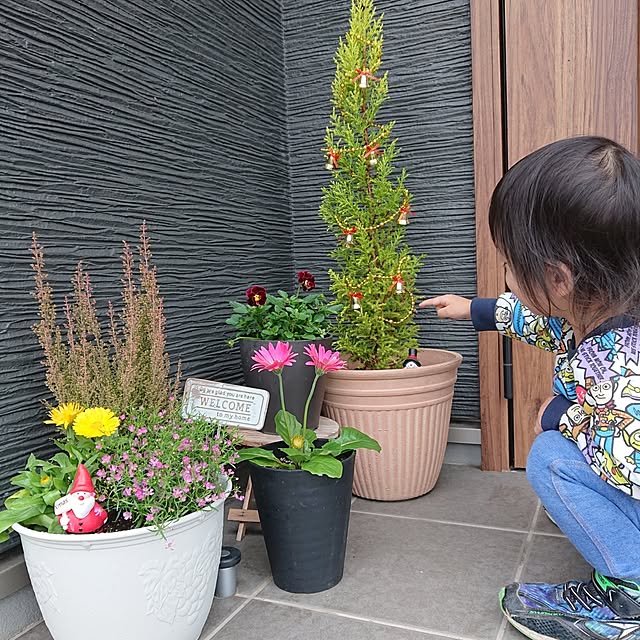 ri-eさんの実例写真