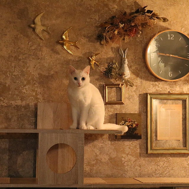 keiさんの部屋