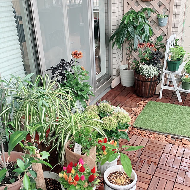mogumoguさんの実例写真