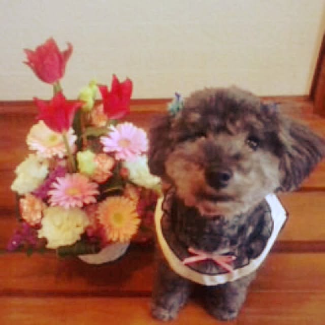 happleさんの実例写真