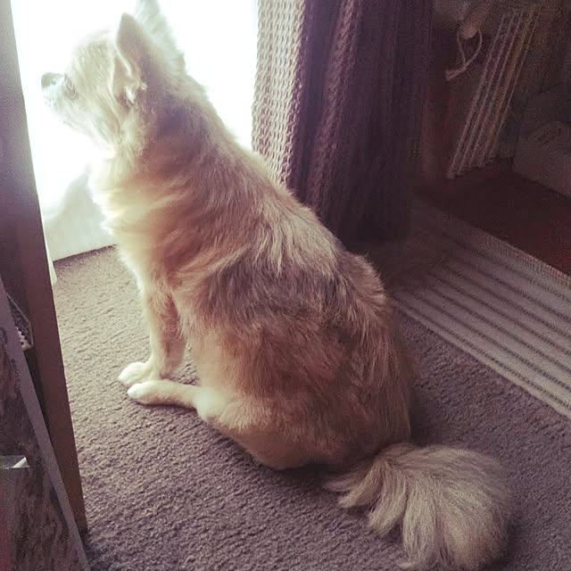 kiraさんの実例写真