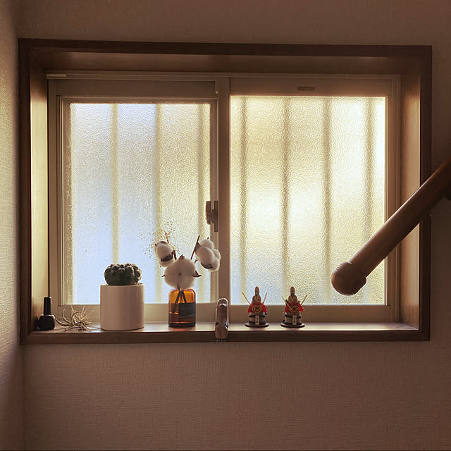 samugarinopunxさんの実例写真