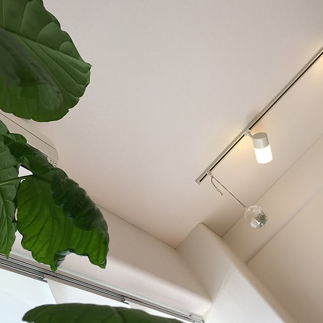 Hisayoさんの実例写真