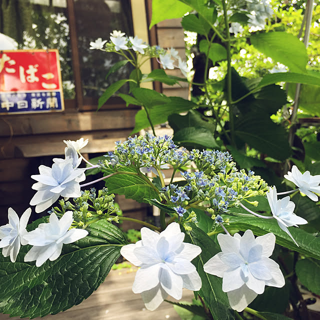 RIERINさんの実例写真