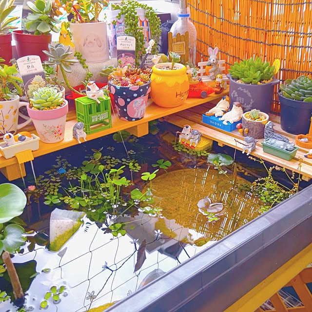 mariaさんの部屋