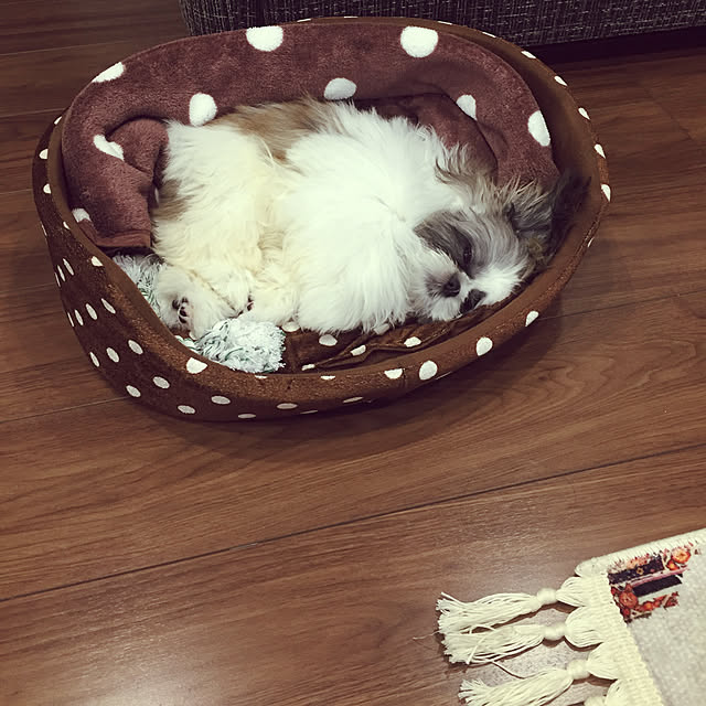 tamtamさんの実例写真