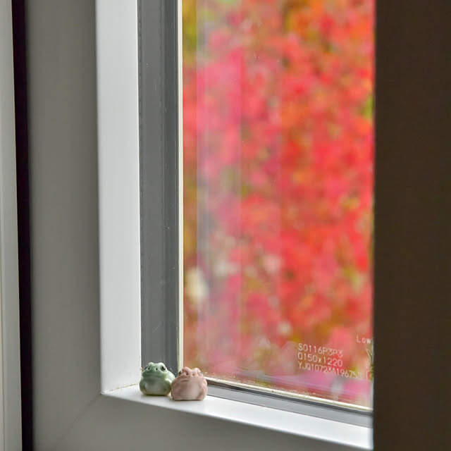 mikigumaさんの実例写真