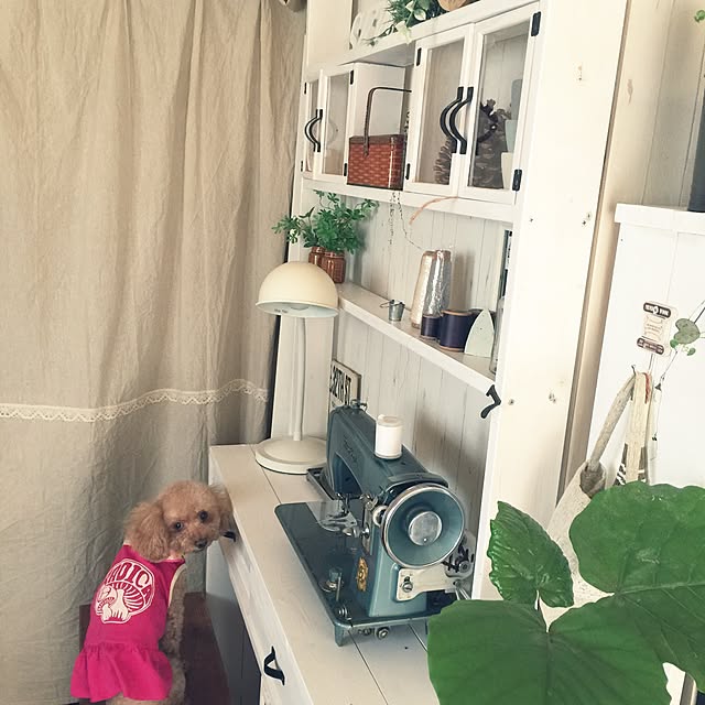 RURULOVEさんの実例写真