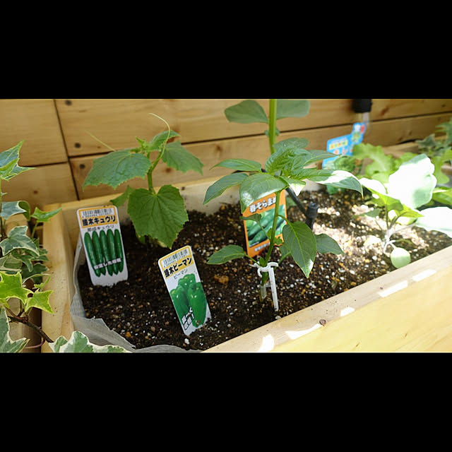 NKGardenさんの実例写真