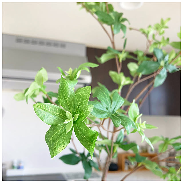 ksfioriさんの部屋