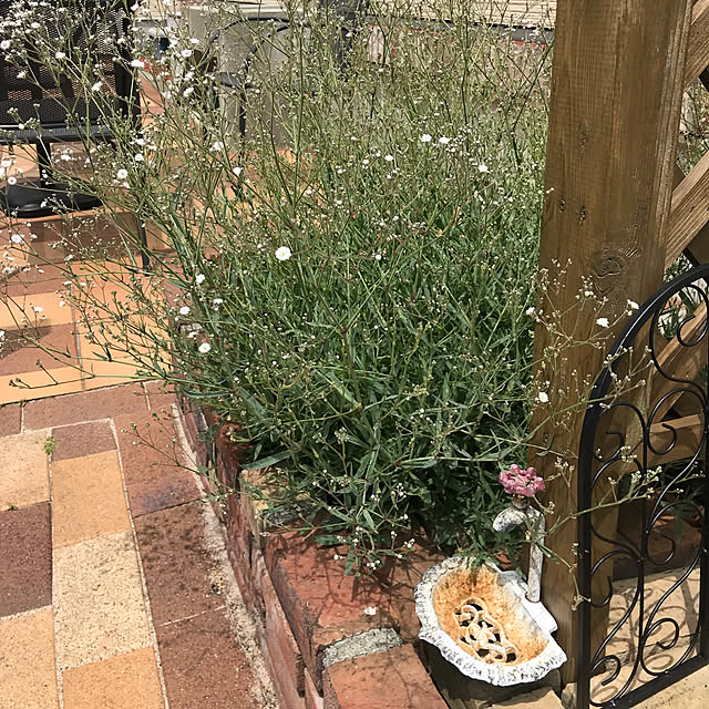 minakoさんの実例写真
