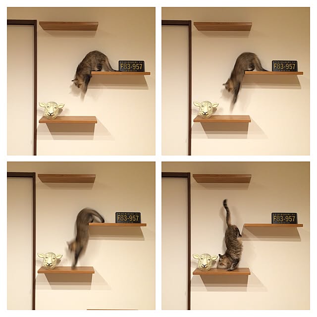 kiyo8543さんの実例写真