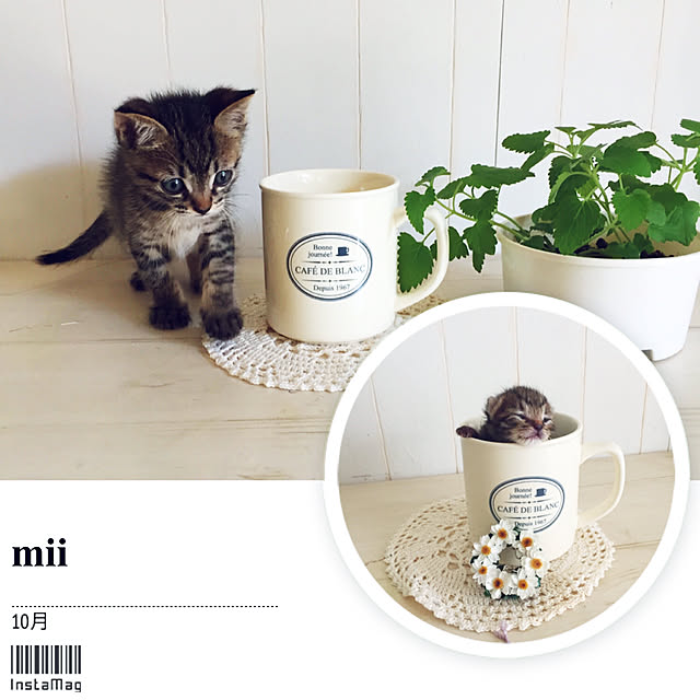 kusuttoさんの実例写真