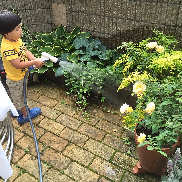 maYoさんの実例写真
